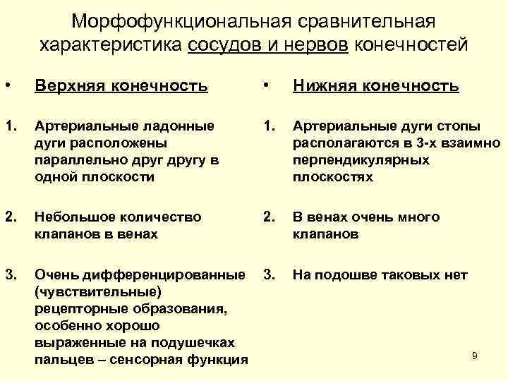   Морфофункциональная сравнительная характеристика сосудов и нервов конечностей  • Верхняя конечность 