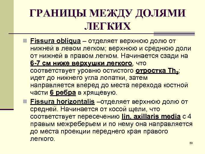  ГРАНИЦЫ МЕЖДУ ДОЛЯМИ   ЛЕГКИХ n Fissura obliqua – отделяет верхнюю долю