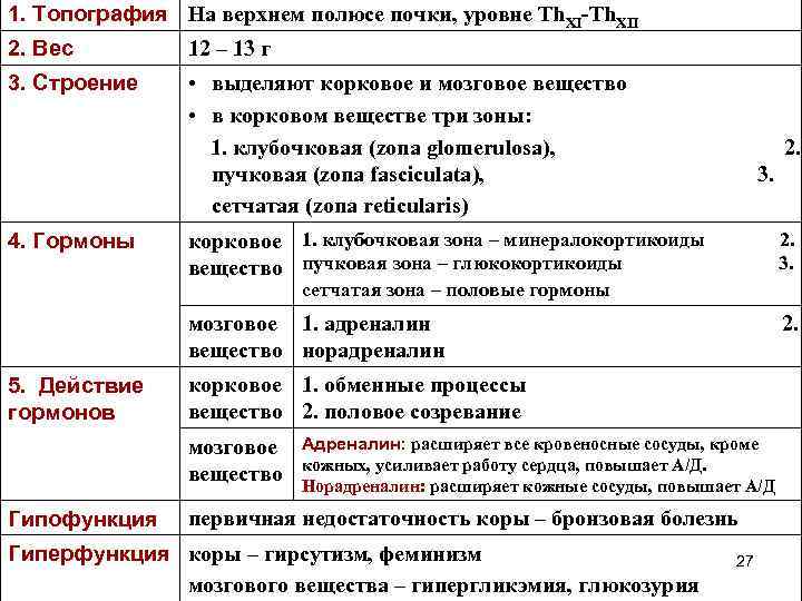 1. Топография На верхнем полюсе почки, уровне Th. XI-Th. XII 2. Вес 12 –