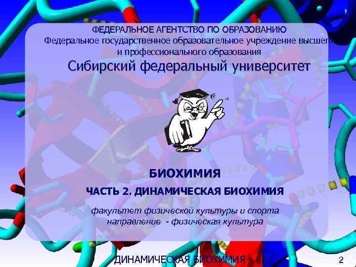    ФЕДЕРАЛЬНОЕ АГЕНТСТВО ПО ОБРАЗОВАНИЮ Федеральное государственное образовательное учреждение высшего  