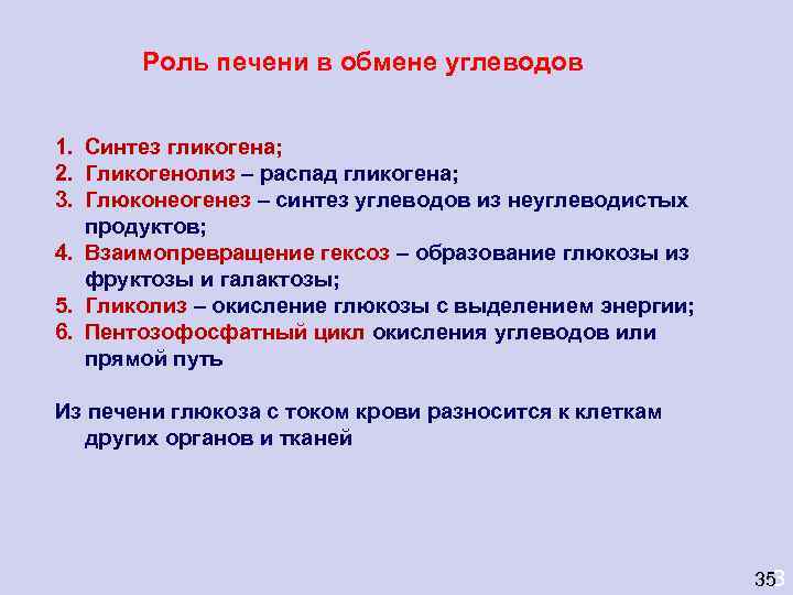   Роль печени в обмене углеводов  1. Синтез гликогена; 2. Гликогенолиз –