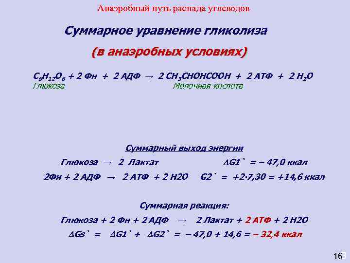   Анаэробный путь распада углеводов  Суммарное уравнение гликолиза  (в анаэробных условиях)
