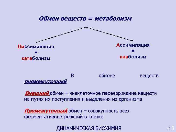 Диссимиляция обмен. Внешний обмен веществ. Типы обмена веществ внешний и промежуточный. Обмен веществ ассимиляция и диссимиляция. Сравнение ассимиляции и диссимиляции.