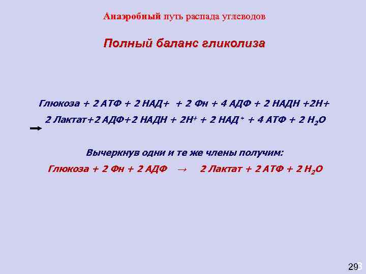   Анаэробный путь распада углеводов   Полный баланс гликолиза  Глюкоза +