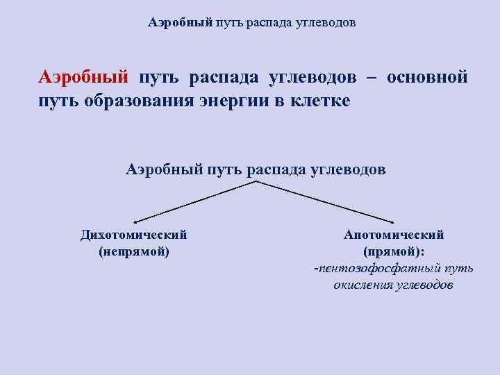 Пути образования энергии в клетке презентация