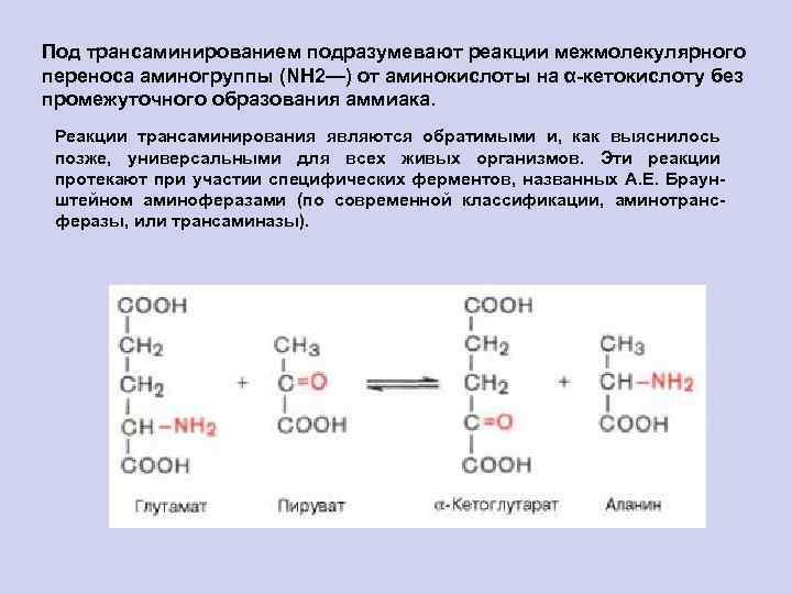 Кетокислоты аминокислот. Реакции трансаминирования аминокислот биохимия. Валин трансаминирование. Трансаминирование глутамата реакция. Трансаминирование аминокислот аланин.