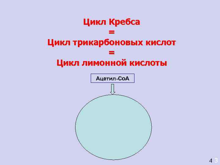   Цикл Кребса   = Цикл трикарбоновых кислот   = Цикл