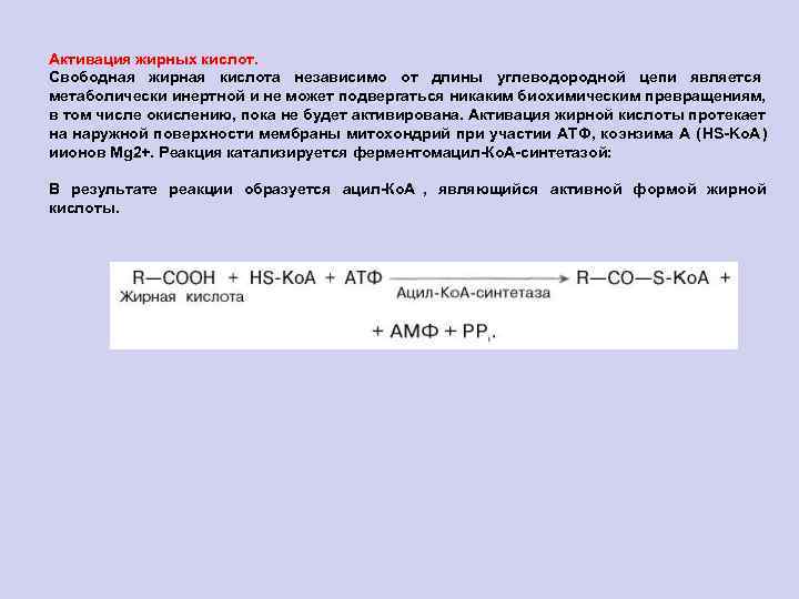 Активация жирных кислот.  Свободная жирная кислота независимо от длины углеводородной цепи является метаболически