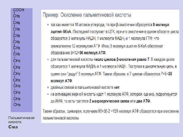Пальмитиновая кислота С 16: 0 