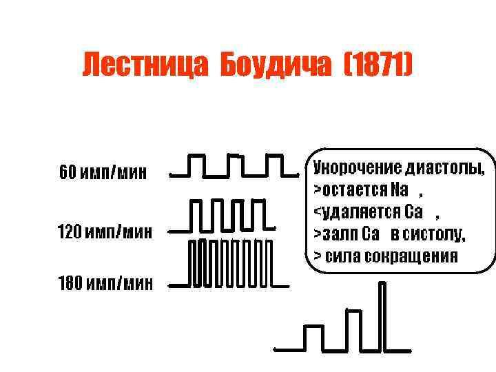 Лестница Боудича (1871) Лестница Боудича (1871)