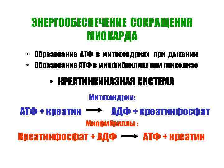 ЭНЕРГООБЕСПЕЧЕНИЕ СОКРАЩЕНИЯ МИОКАРДА • Образование АТФ в митохондриях при дыхании ЭНЕРГООБЕСПЕЧЕНИЕ СОКРАЩЕНИЯ МИОКАРДА • Образование АТФ в митохондриях при дыхании