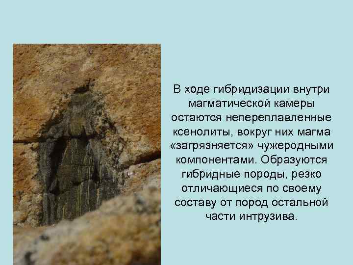  В ходе гибридизации внутри магматической камеры остаются непереплавленные ксенолиты, вокруг них магма 