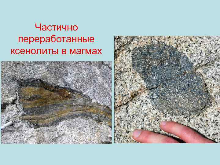  Частично  переработанные ксенолиты в магмах 