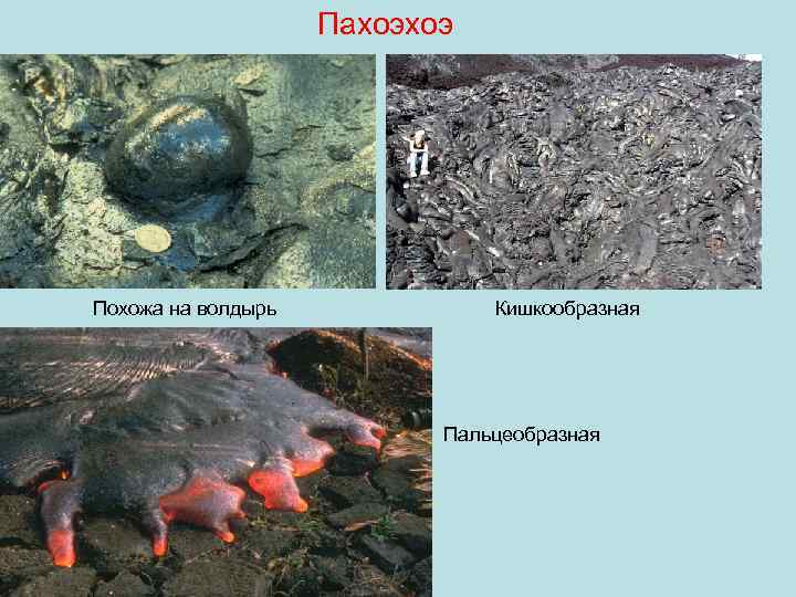     Пахоэхоэ Похожа на волдырь   Кишкообразная   