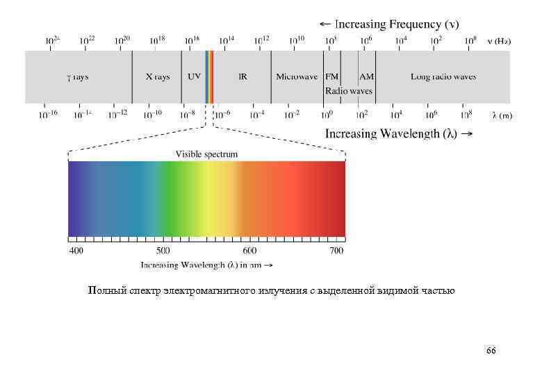 Полный спектр электромагнитного излучения с выделенной видимой частью      
