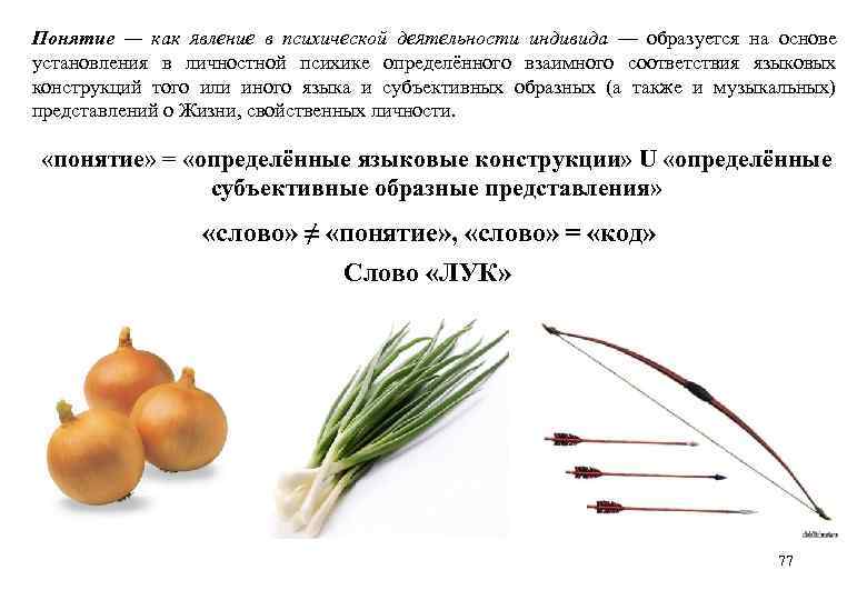 Понятие — как явление в психической деятельности индивида — образуется на основе установления в