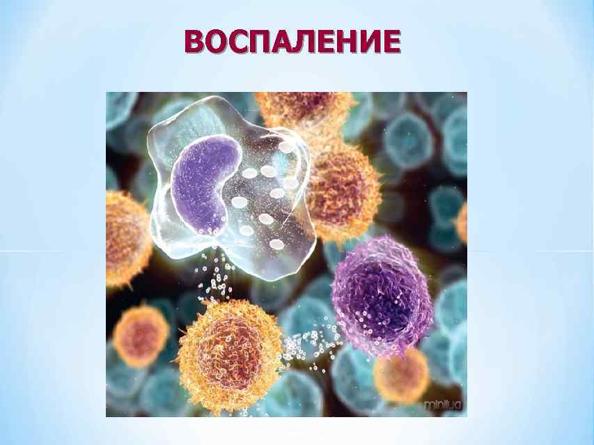 ВОСПАЛЕНИЕ 