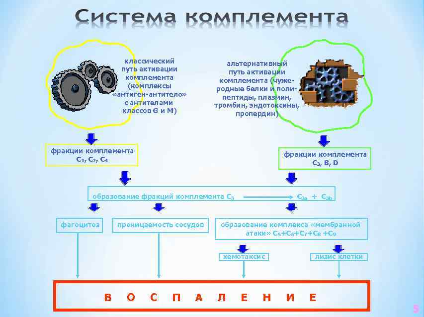      классический   альтернативный     путь