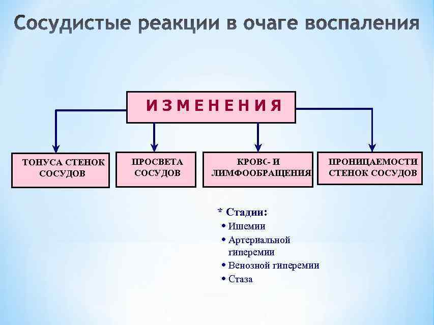    ИЗМЕНЕНИЯ  ТОНУСА СТЕНОК  ПРОСВЕТА КРОВО И   