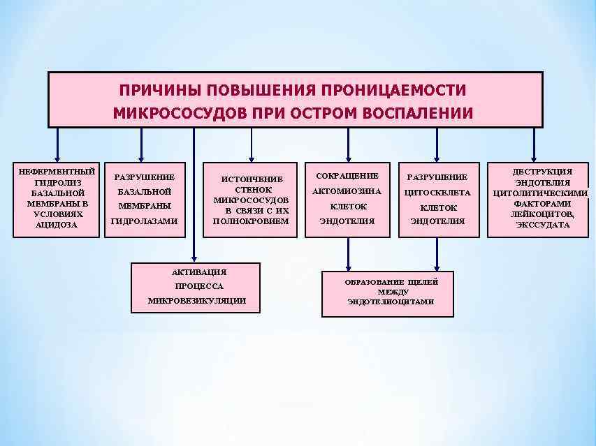 Увеличение проницаемости сосудистой стенки при воспалении вызывают