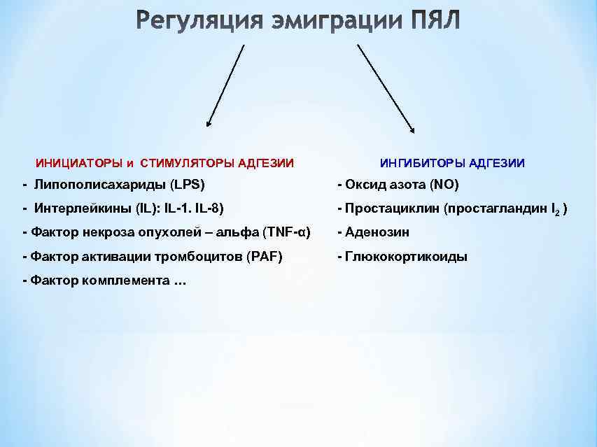  ИНИЦИАТОРЫ и СТИМУЛЯТОРЫ АДГЕЗИИ    ИНГИБИТОРЫ АДГЕЗИИ - Липополисахариды (LPS) 