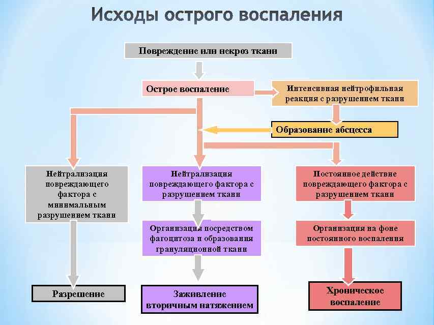 Воспаление патология презентация