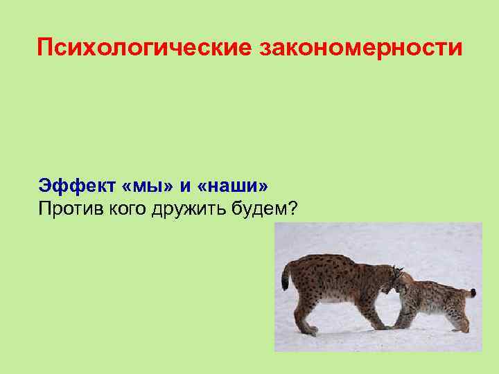 Психологические закономерности Эффект «мы» и «наши» Против кого дружить будем? 