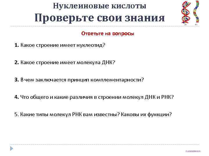    Нуклеиновые кислоты  Проверьте свои знания     Ответьте