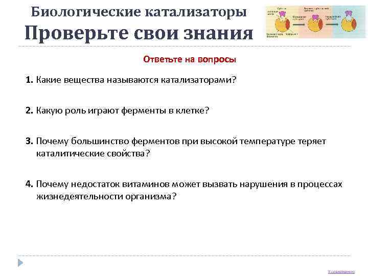  Биологические катализаторы Проверьте свои знания     Ответьте на вопросы 1.