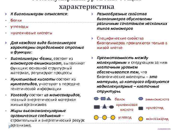    Молекулярный уровень: общая     характеристика К биополимерам относятся: