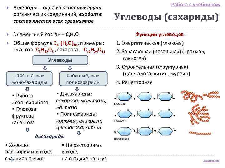       Работа с учебником Углеводы – одна из основных