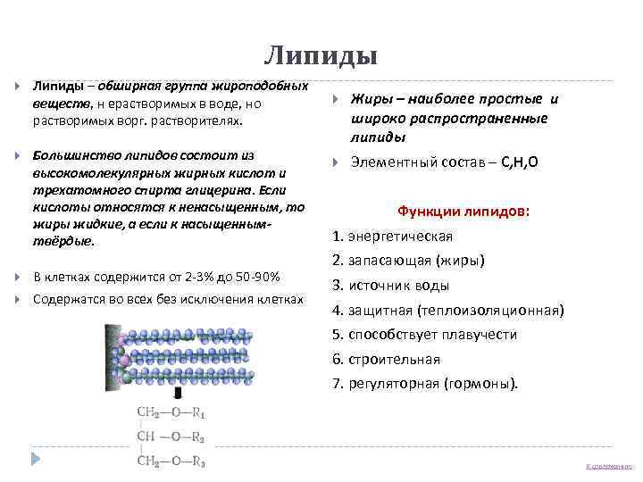     Липиды – обширная группа жироподобных веществ, н ерастворимых в воде,