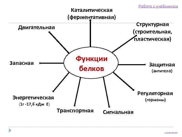      Работа с учебником      Каталитическая