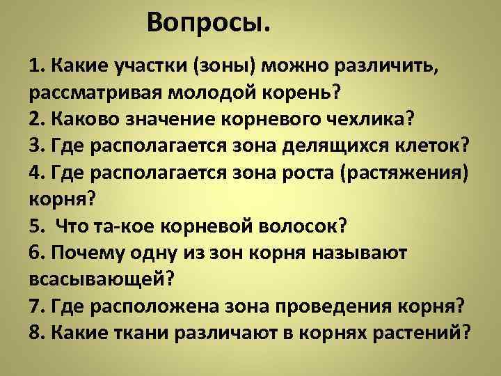 Корни вопрос ответ. Какие участки можно различить рассматривая молодой корень. Какие участки зоны можно различить рассматривая.