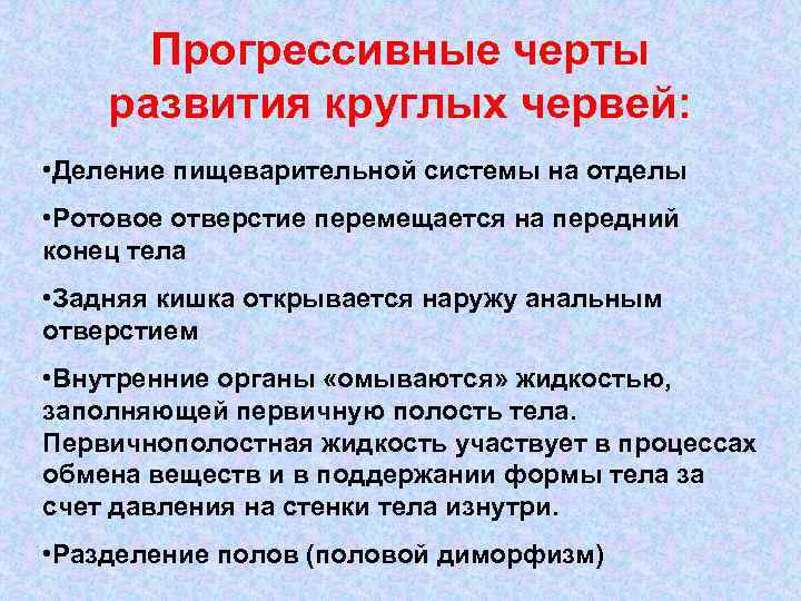  Прогрессивные черты развития круглых червей:  • Деление пищеварительной системы на отделы •