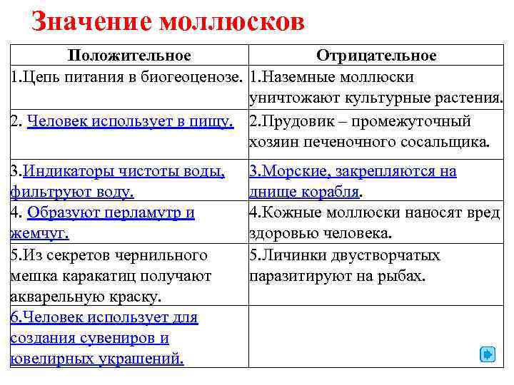  Значение моллюсков   Положительное   Отрицательное 1. Цепь питания в биогеоценозе.