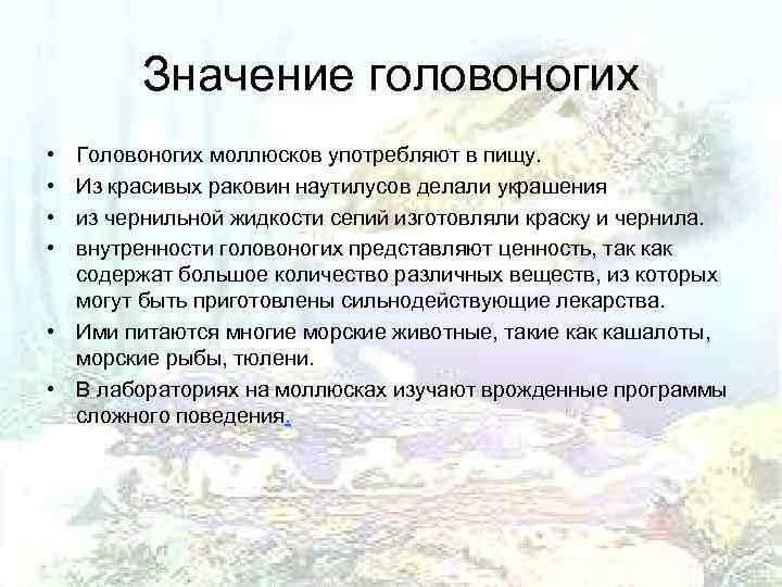   Значение головоногих • Головоногих моллюсков употребляют в пищу.  • Из красивых