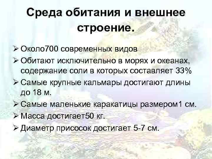   Среда обитания и внешнее  строение. Ø Около 700 современных видов Ø