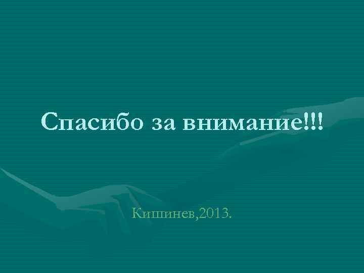 Спасибо за внимание!!!   Кишинев, 2013. 