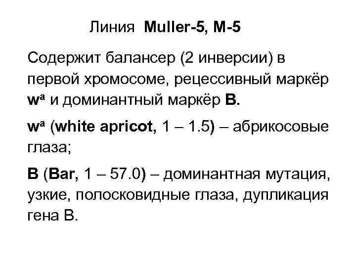  Линия Muller-5, M-5 Содержит балансер (2 инверсии) в первой хромосоме, рецессивный маркёр
