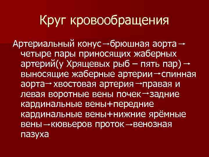  Круг кровообращения Артериальный конус брюшная аорта четыре пары приносящих жаберных артерий(у Хрящевых рыб