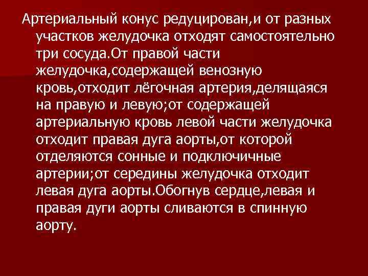 Артериальный конус редуцирован, и от разных  участков желудочка отходят самостоятельно  три сосуда.