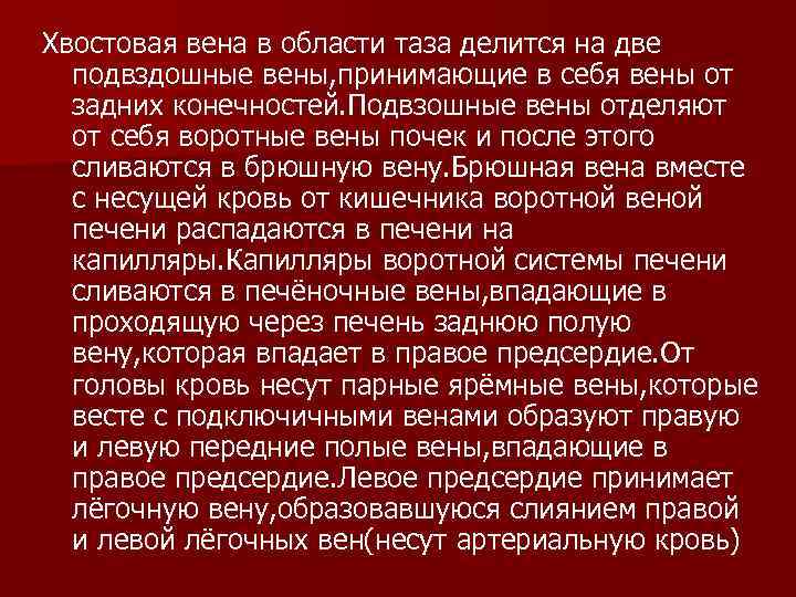 Хвостовая вена в области таза делится на две  подвздошные вены, принимающие в себя