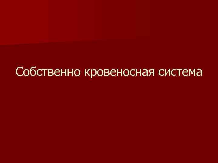 Собственно кровеносная система 