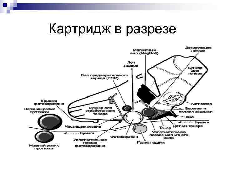 Картридж в разрезе 