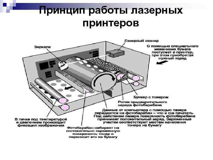 Принцип работы лазерных  принтеров   