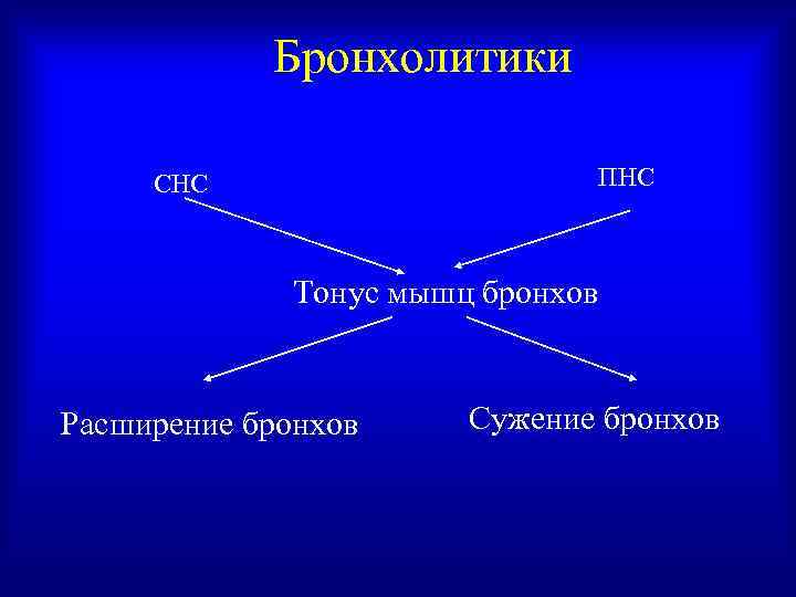   Бронхолитики  СНС    ПНС   Тонус мышц бронхов