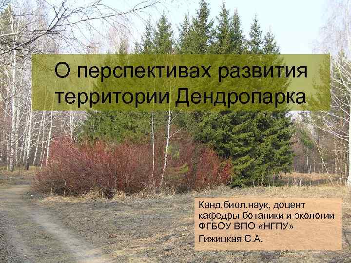 О перспективах развития территории Дендропарка Канд. биол. наук, доцент кафедры О перспективах развития территории Дендропарка Канд. биол. наук, доцент кафедры