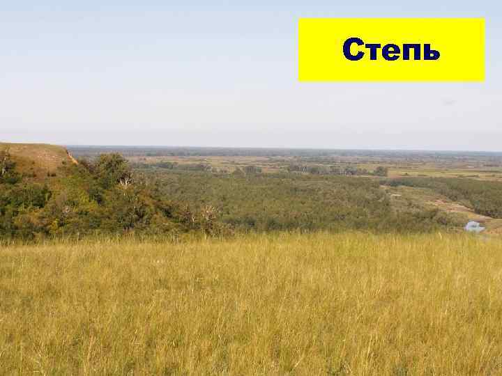 Степь Степь