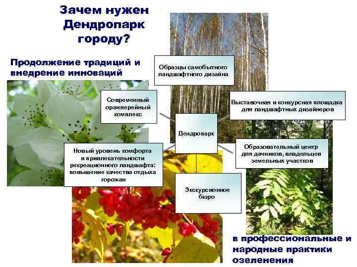 Зачем нужен Дендропарк городу? Продолжение традиций и Зачем нужен Дендропарк городу? Продолжение традиций и